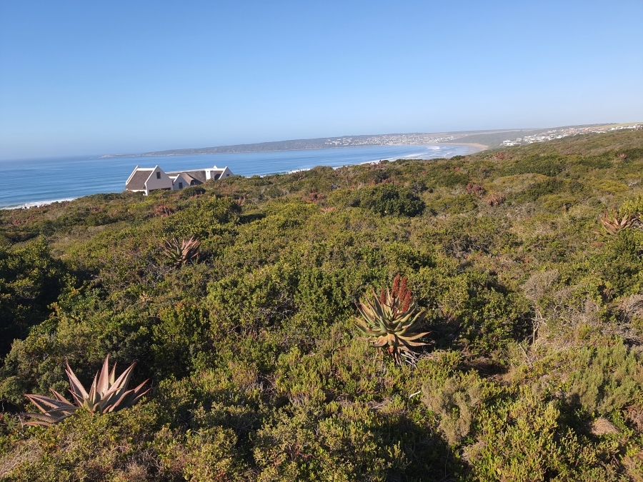 0 Bedroom Property for Sale in Boggomsbaai Western Cape